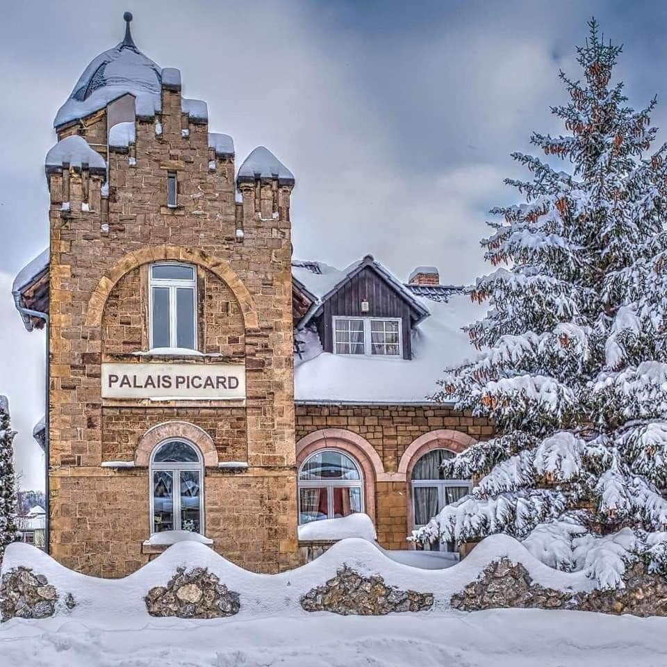 Palais Picard Westfluegel Villa Thale Buitenkant foto