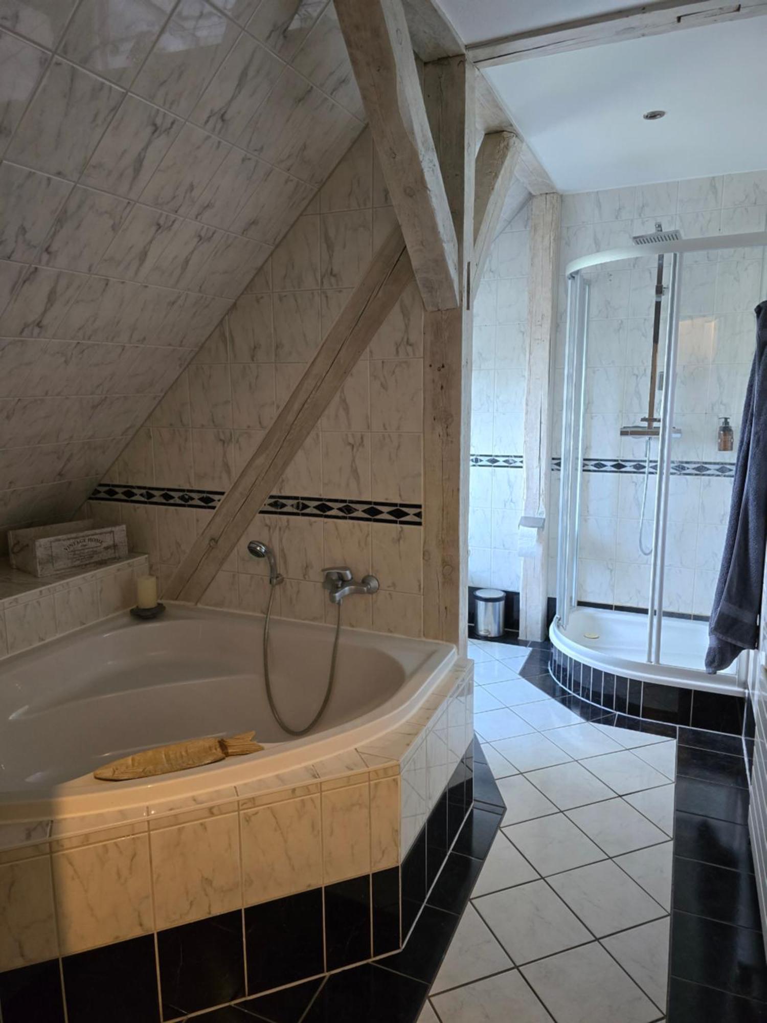 Palais Picard Westfluegel Villa Thale Buitenkant foto